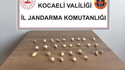 Kocaeli’nin Körfez ilçesinde rahatsızlanınca jandarma ve sağlık ekipleri tarafından hastaneye