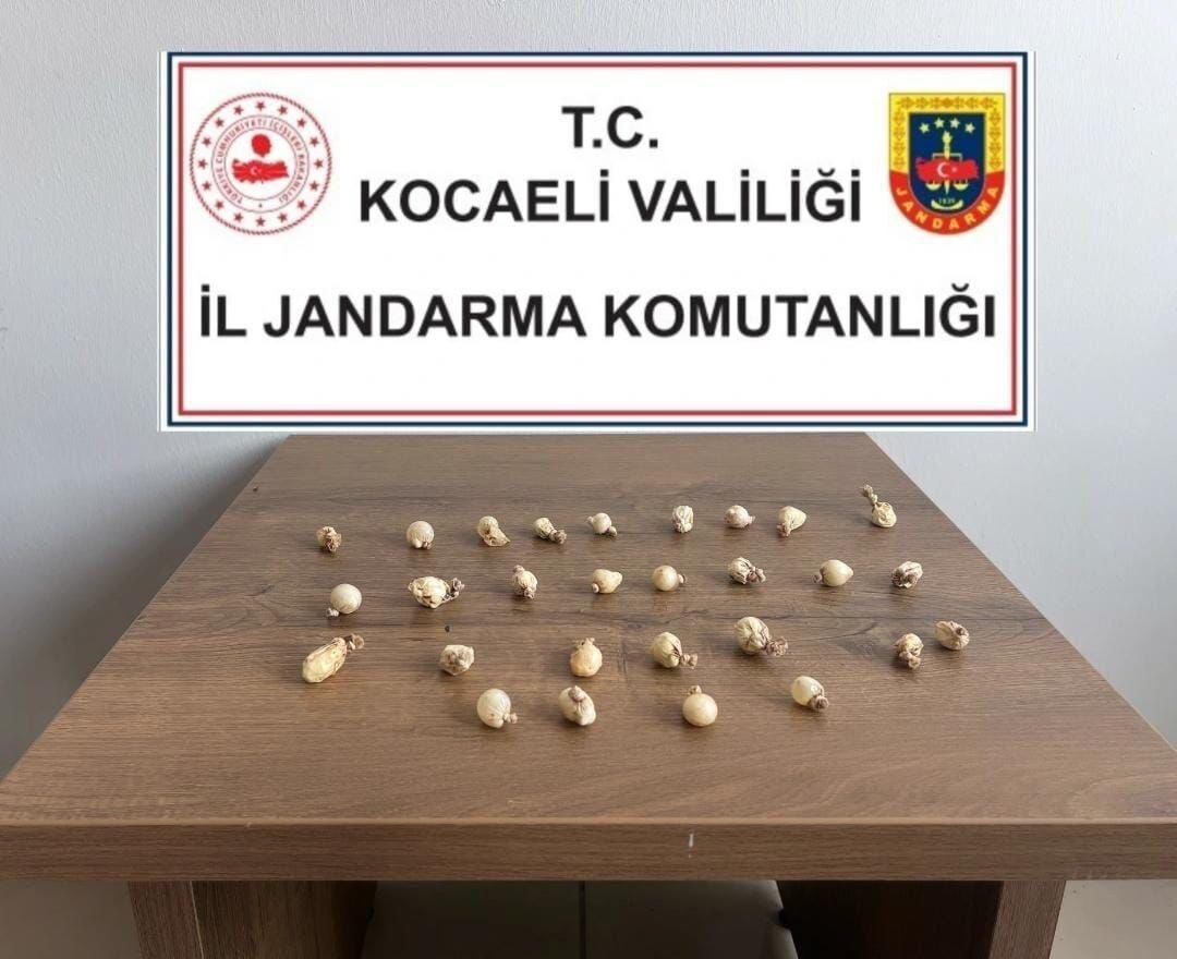 Kocaeli’nin Körfez ilçesinde rahatsızlanınca jandarma ve sağlık ekipleri tarafından hastaneye