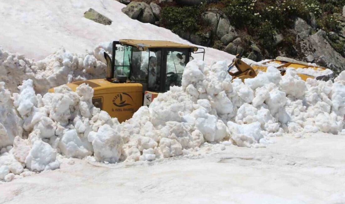 Rize’nin yüksek kesimlerinde kış mevsiminde düşen ve Haziran ayının sonuna