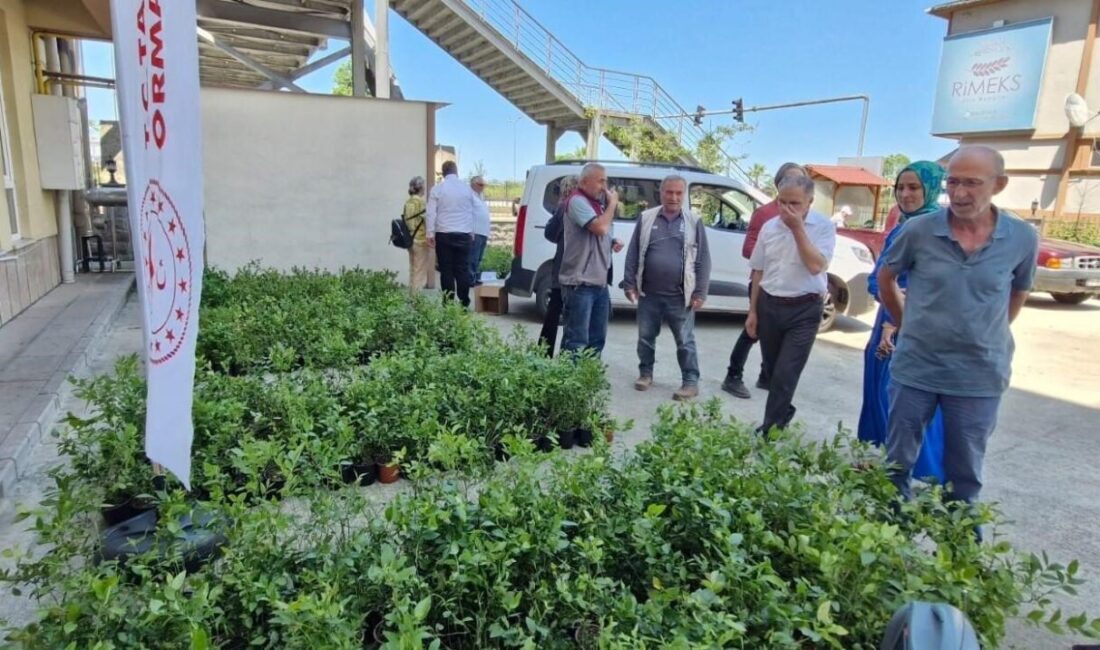 Rize’de Tarım Arazilerinin Kullanımının Etkinleştirilmesi Projesi kapsamında üreticilere 9 bin