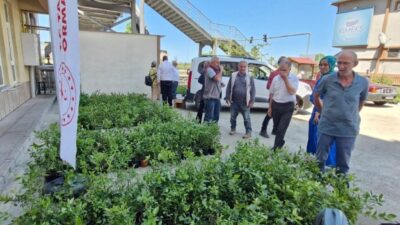 Rize’de Tarım Arazilerinin Kullanımının Etkinleştirilmesi Projesi kapsamında üreticilere 9 bin