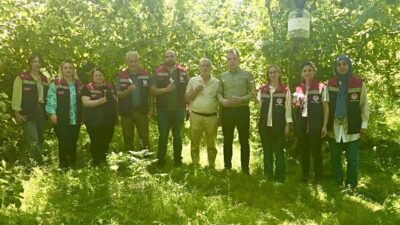 Rize’de tarımsal ürün zararlısı kahverengi kokarca ile mücadele kapsamında 50