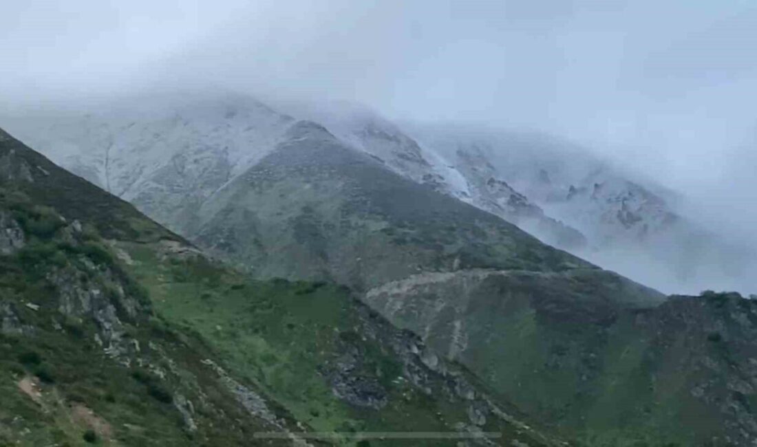 Rize’nin 2 bin 300 metre rakımlı Kavrun Yaylası’na Haziran ayında