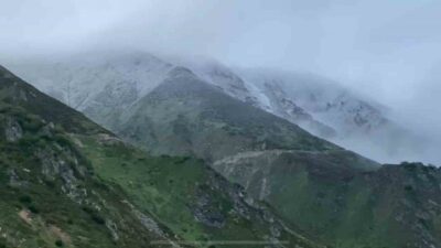 Rize’nin 2 bin 300 metre rakımlı Kavrun Yaylası’na Haziran ayında