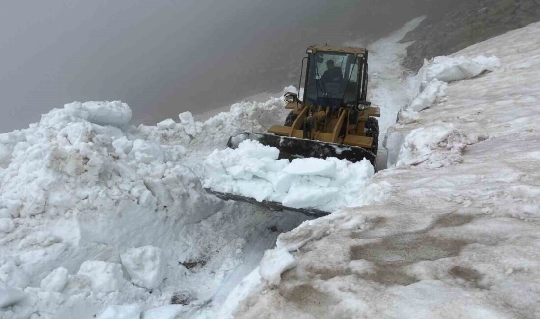 Rize’nin yüksek kesimlerinde yaz mevsimi gelmesine rağmen erimeyerek ulaşıma engel