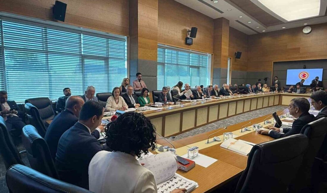 TBMM Sağlık, Aile, Çalışma ve Sosyal İşler Komisyonu’nda sağlık alanına