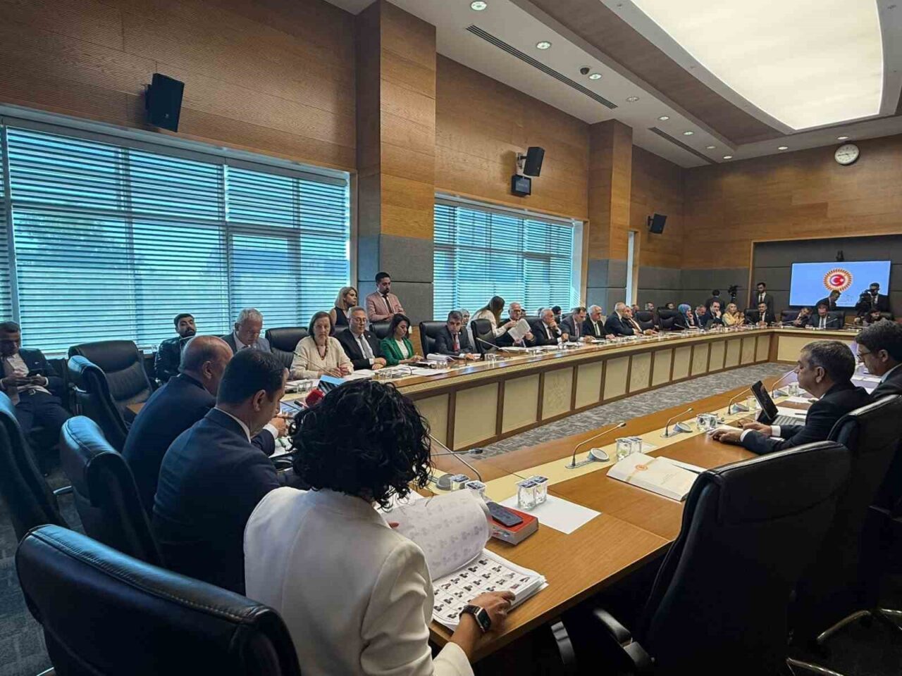 TBMM Sağlık, Aile, Çalışma ve Sosyal İşler Komisyonu’nda sağlık alanına