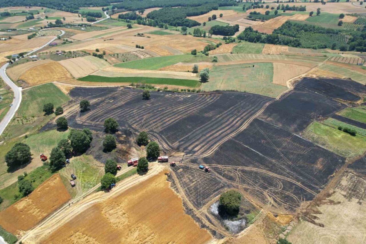 Sakarya’nın Adapazarı ilçesinde çıkan yangında buğday ve arpa ekili 150