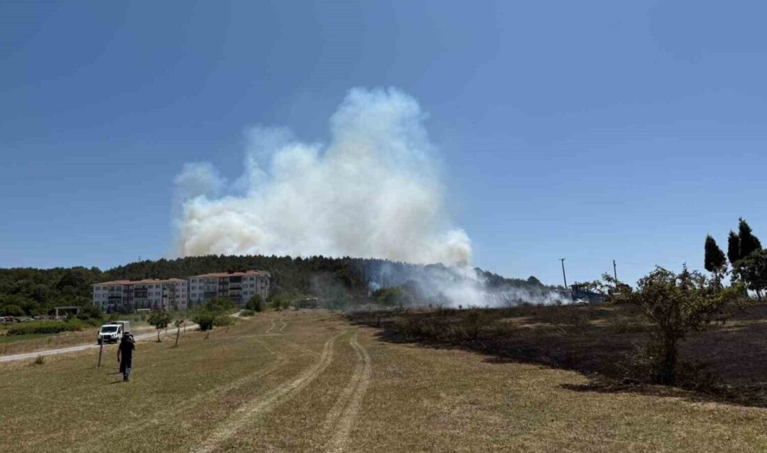 Sakarya Orman Bölge Müdürlüğü’nün Söğütlü ilçesindeki deposunda çıkan yangın, ormanlık