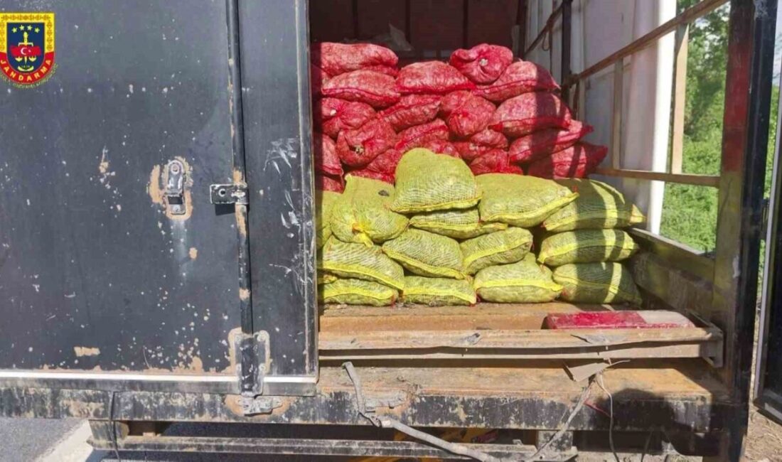 Anadolu Otoyolu Sakarya geçişinde durumundan şüphelenilerek jandarma ekiplerince durdurulan kamyonetten