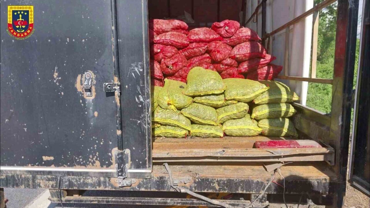 Anadolu Otoyolu Sakarya geçişinde durumundan şüphelenilerek jandarma ekiplerince durdurulan kamyonetten