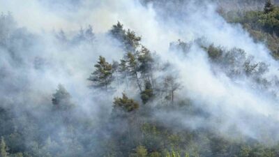 Sakarya’nın Taraklı ilçesinde ormanlık alanda büyük ölçüde kontrol altına alınan