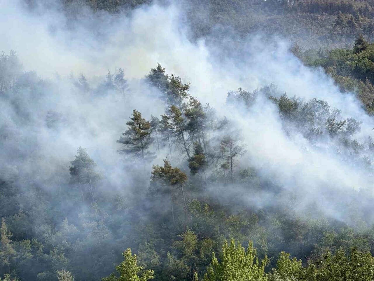 Sakarya’nın Taraklı ilçesinde ormanlık alanda büyük ölçüde kontrol altına alınan