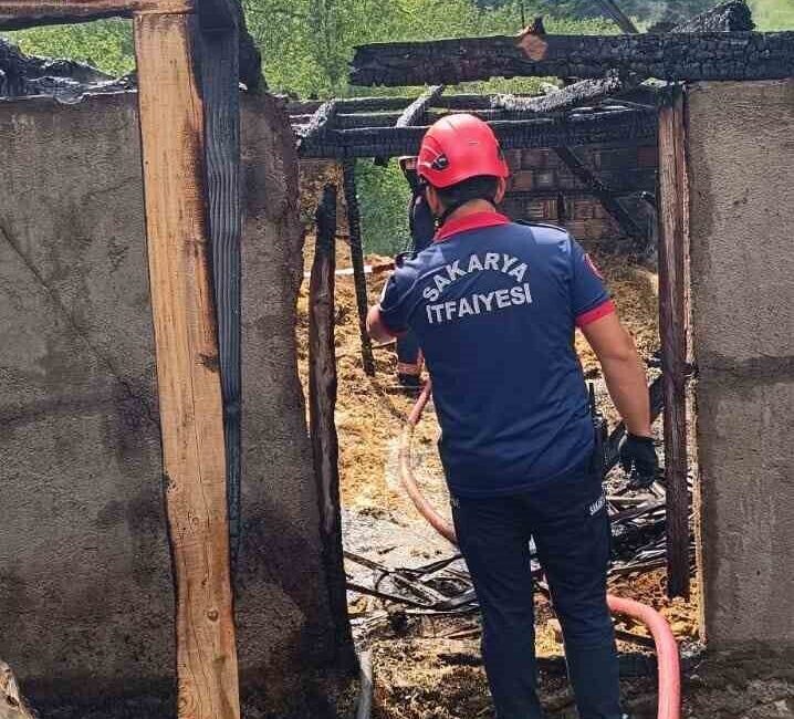 Sakarya’nın Akyazı ilçesinde samanlıkta çıkan yangında 24 civciv telef oldu.
