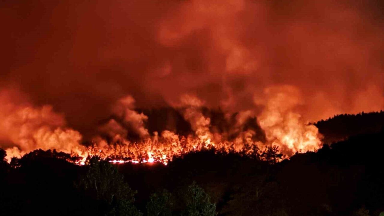 Sakarya’nın Taraklı ilçesinde öğle saatlerinde başlayan orman yangını gece saatlerinde