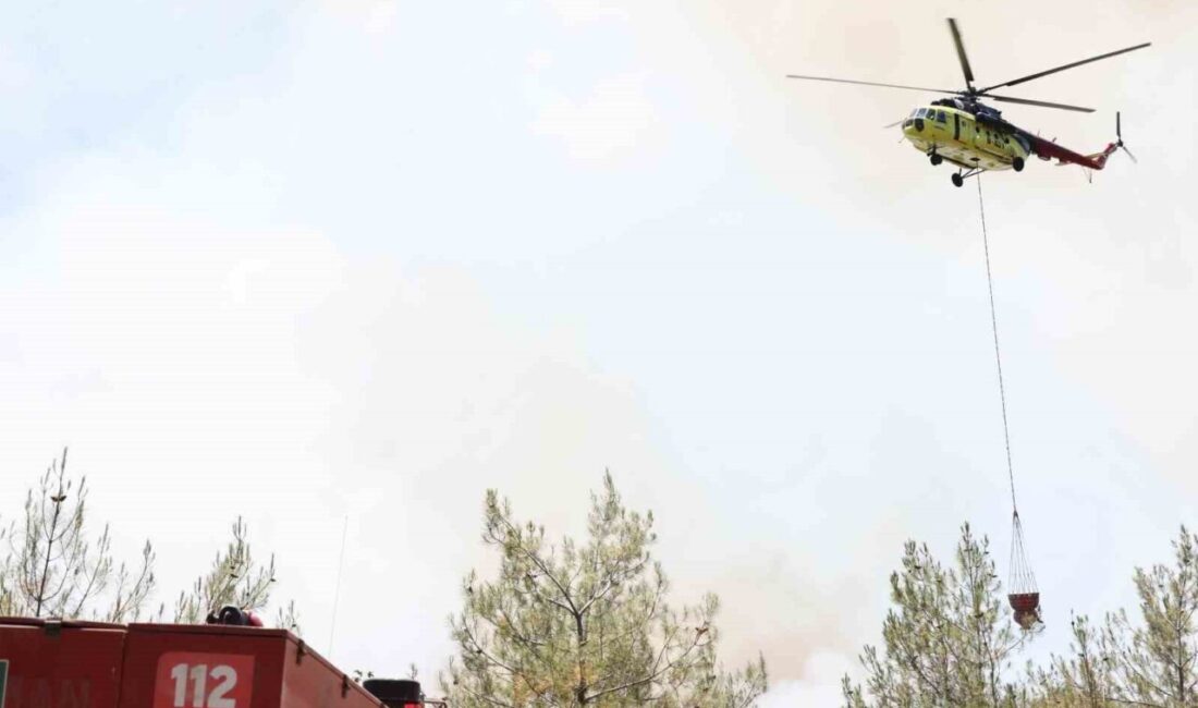 Sakarya’nın Taraklı ilçesinde ormanlık alanda çıkan yangını kontrol altına alabilmek