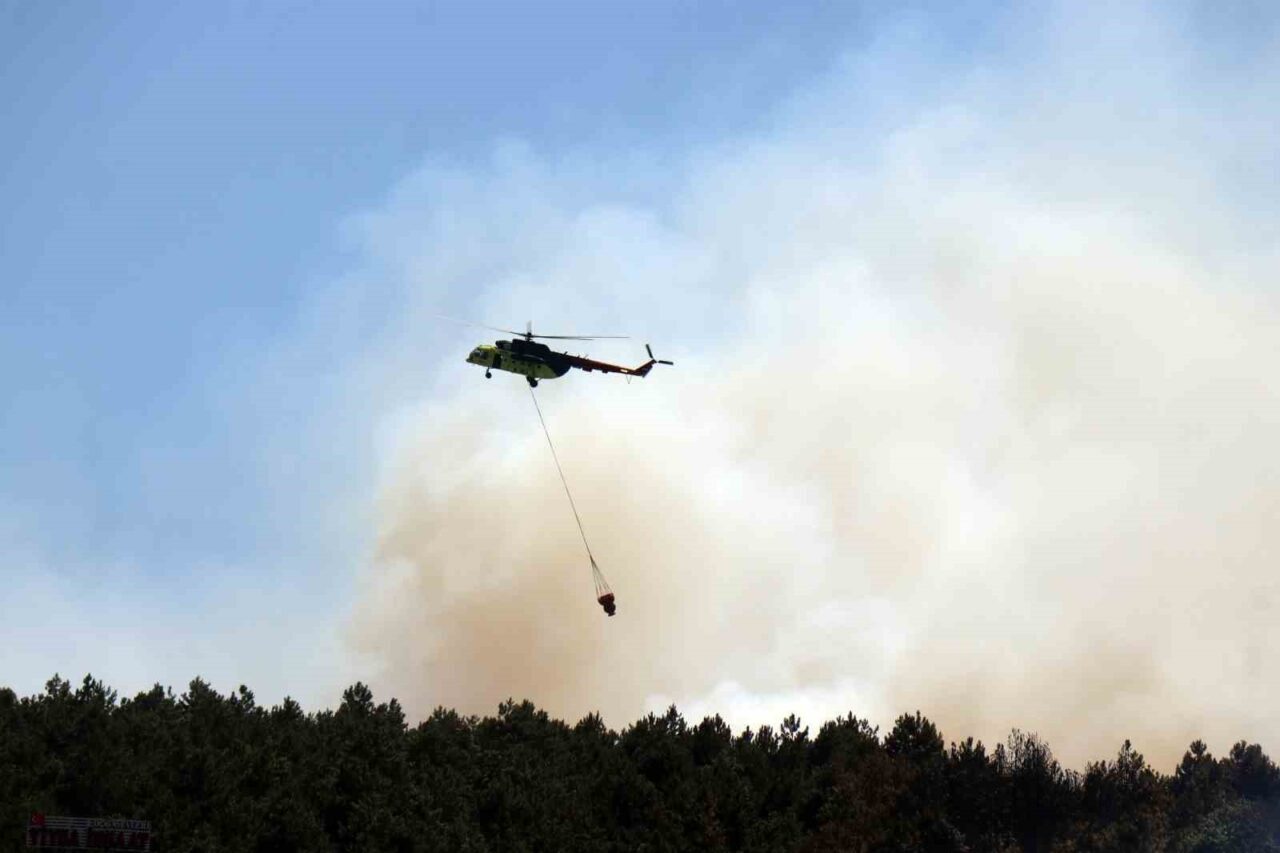 Sakarya Orman Bölge Müdürlüğü’nün Söğütlü ilçesindeki deposunda çıkan ve ormanlık