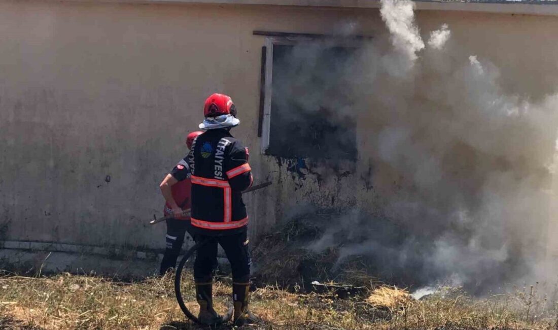 Sakarya’nın Kaynarca ilçesinde bulunan samanlık deposunda yangın çıktı. 200 saman