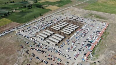 Sivas Valiliği, artan şap hastalığı sonrası il genelinde hayvan pazarlarının