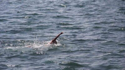 Yaz aylarının sıcak geçen günlerinde baraj, gölet ve sulama kanallarında