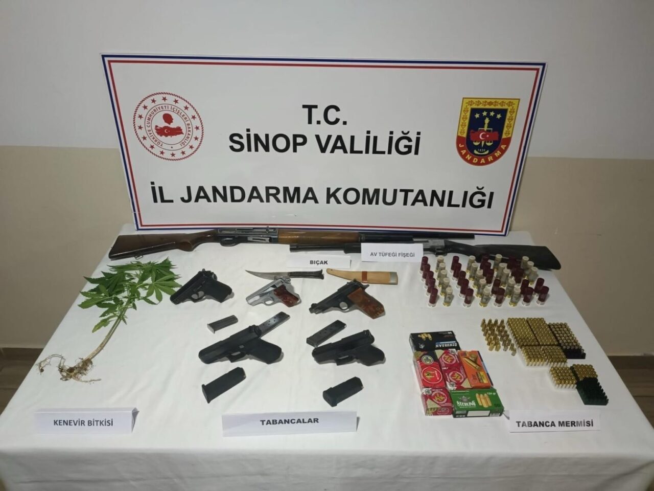 Sinop’un Erfelek ilçesinde jandarma ekiplerince düzenlenen operasyonda 5 ruhsatsız tabanca,
