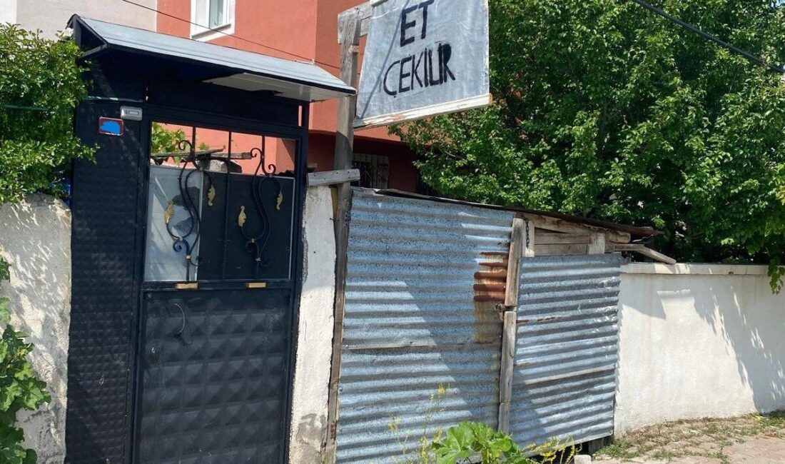 Sivas’ta Kurban Bayramı boyunca yapılan denetimlerde, et çekimi yapan 100