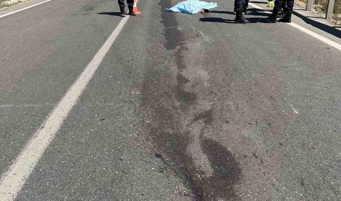 Sivas’ın Koyulhisar ilçesinde tırın çarptığı iki yayadan biri hayatını kaybetti,