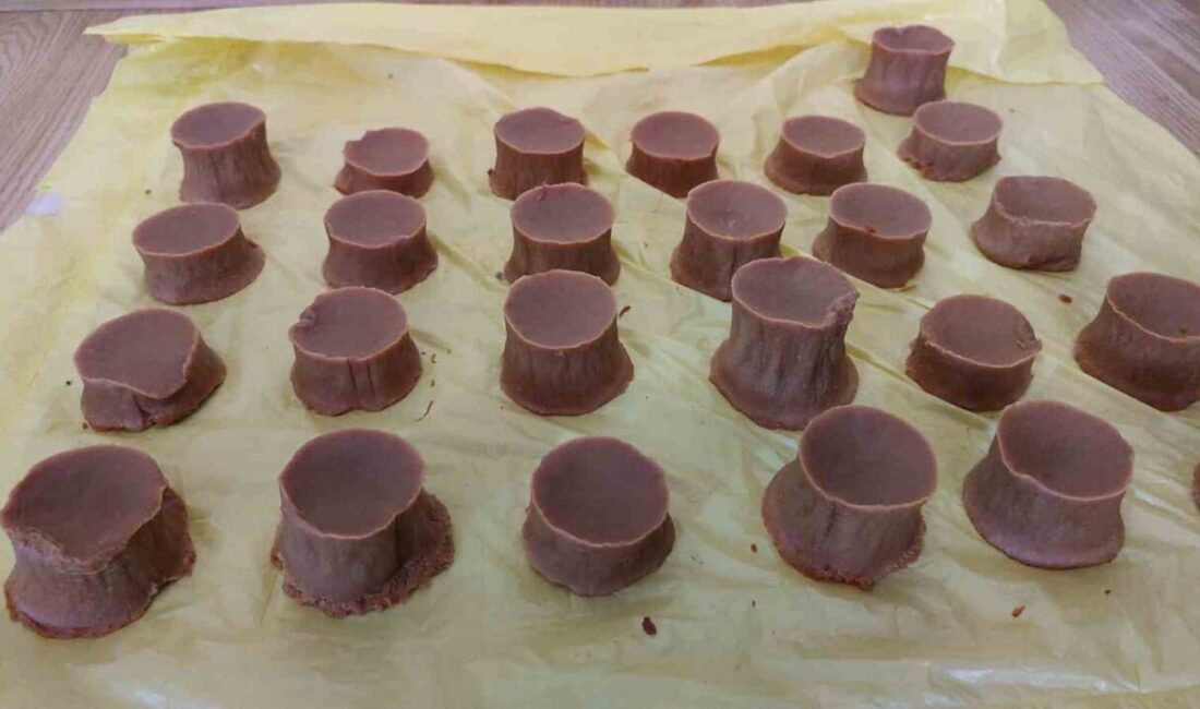 Giresun’un Eynesil ilçesinde pratisyen hekim olarak görev yapan Dr. Semih