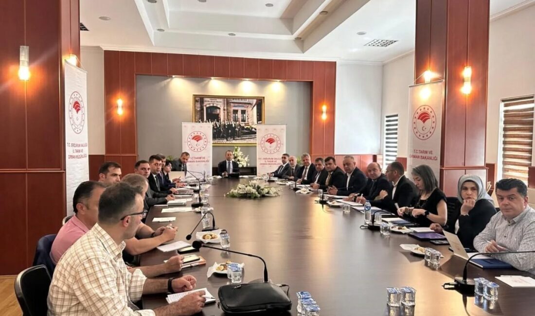 Erzurum İl Su Kurulu, ilde su kaynaklarının etkin yönetimi ve