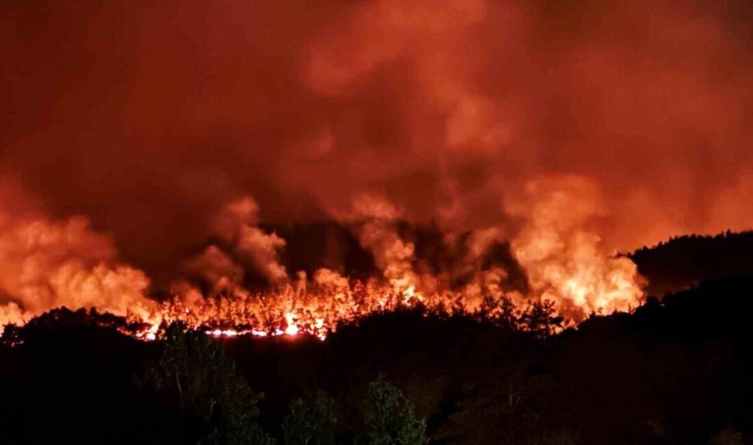 Sakarya’nın Taraklı ilçesinde çıkan ve büyük oranda kontrol altına olan