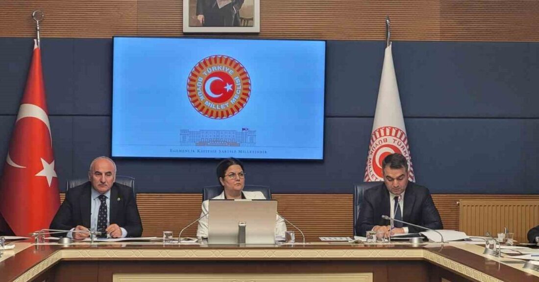 AK Parti Osmaniye Milletvekili Derya Yanık başkanlığında toplanan TBMM İnsan