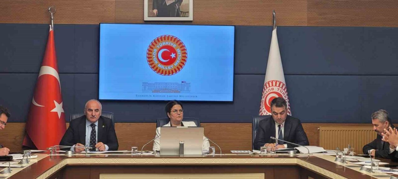 AK Parti Osmaniye Milletvekili Derya Yanık başkanlığında toplanan TBMM İnsan