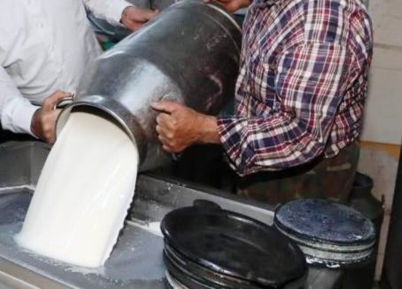 Ticari süt işletmelerince 981 bin 10 ton inek sütü toplandı Ticari süt işletmelerince toplanan inek sütü miktarı Nisan ayında yüzde