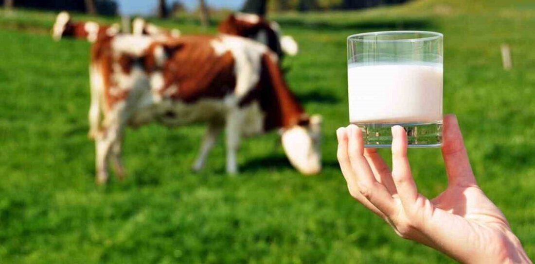 Ticari süt işletmelerince 981 bin 10 ton inek sütü toplandı Ticari süt işletmelerince toplanan inek sütü miktarı Nisan ayında yüzde