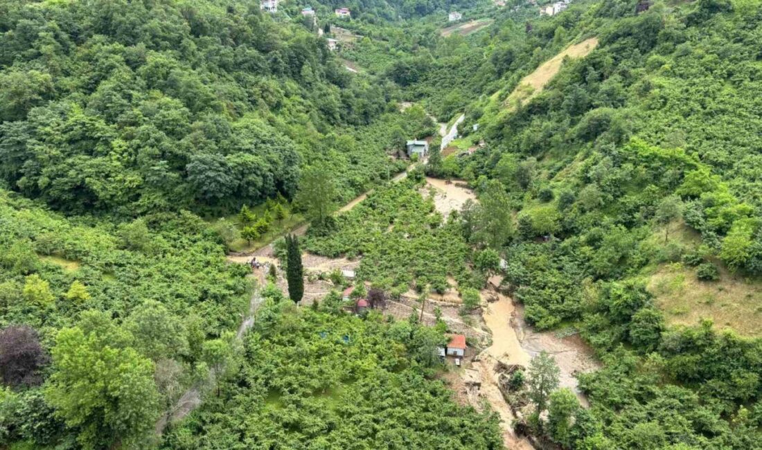 Trabzon’un Toklu mahallesine ismini veren Toklu Deresi’nin taşması ve debisinin
