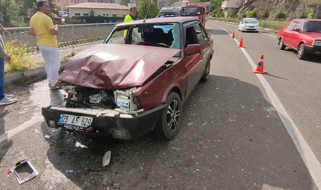 Erzurum’un Tortum ilçesinde meydana gelen trafik kazasında 3 kişi yaralandı.