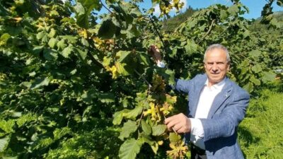 Trabzon Ticaret Borsası Yönetim Kurulu Başkanı Eyyüp Ergan, 10 yıl