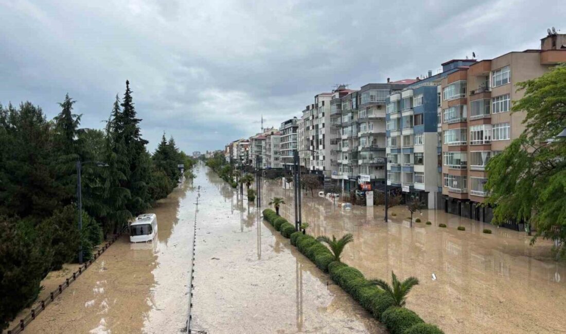 Trabzon’un Ortahisar ilçesinin 2 Nolu Beşirli mahallesi mevkiinde eski devlet