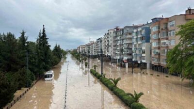 Trabzon’un Ortahisar ilçesinin 2 Nolu Beşirli mahallesi mevkiinde eski devlet