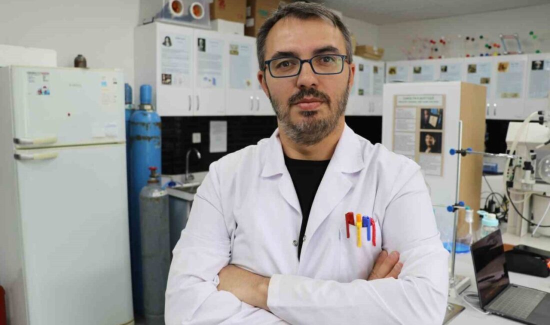 Sivas Cumhuriyet Üniversitesi’nin öncülüğünde yürütülen bilimsel çalışmada, mide kanseri tedavisinde
