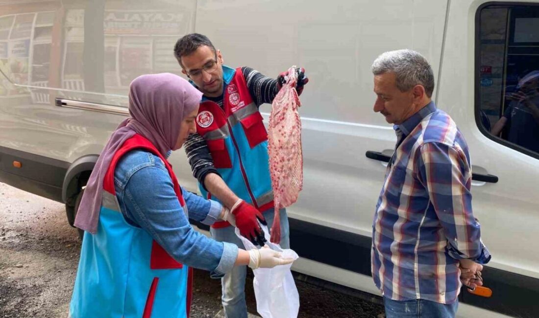 Sinop’un Türkeli ilçesi açıklarında yasa dışı avlandığı belirlenen 363 kalkan