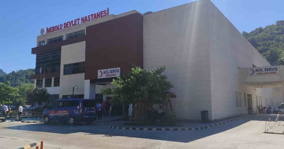 Kastamonu’nun İnebolu ilçesinde üzüm yaprağı topladığı sırada düşen kadın, kaldırıldığı