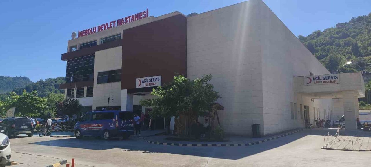 Kastamonu’nun İnebolu ilçesinde üzüm yaprağı topladığı sırada düşen kadın, kaldırıldığı