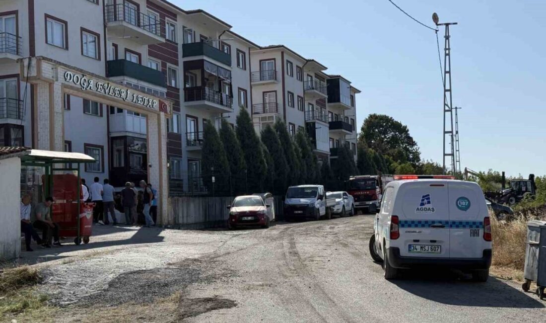 Sakarya Orman Bölge Müdürlüğü’nün Söğütlü ilçesindeki deposunda çıkan ve ormanlık