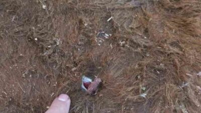 Erzurum’da yayla anlaşmazlığı nedeniyle çıkan kavgada bir kişi silahla yaralandı.