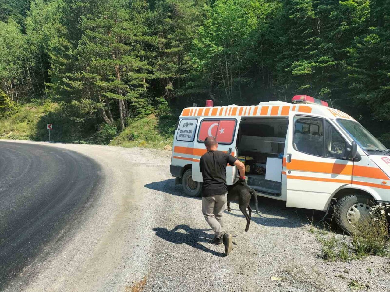 Kastamonu’nun Devrekani ilçesinde 8 metre derinliğindeki rögara düşen iki köpek,