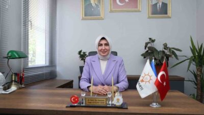 Karareis Barajı ve Salman Göleti’nden İZSU Ildır Deposuna su aktarılmak