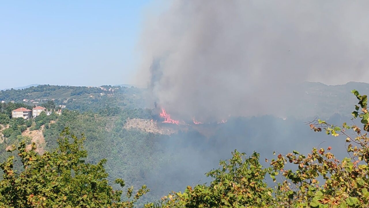 Zonguldak’ın Alaplı ilçesine bağlı Sabırlı köyünde ormanlık alanda yangın çıktı.