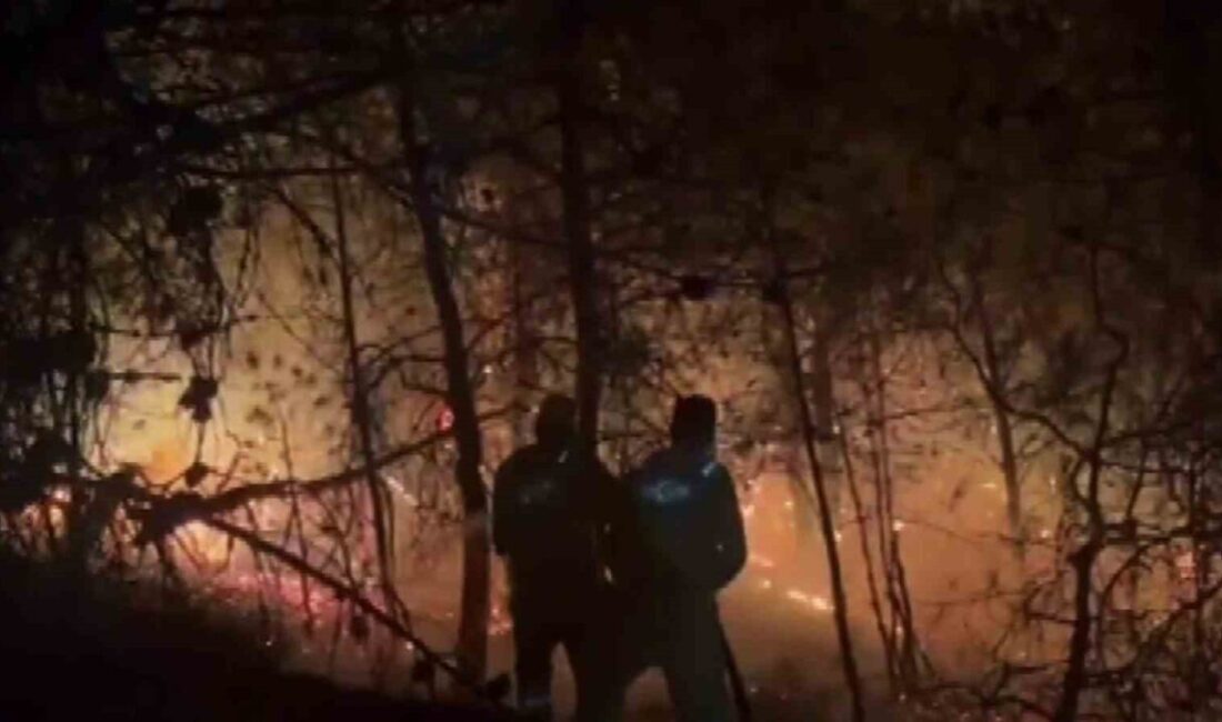 Sakarya’nın Geyve ilçesindeki orman yangınına müdahale eden ekipler, adeta alev