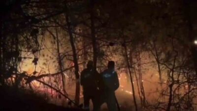 Sakarya’nın Geyve ilçesindeki orman yangınına müdahale eden ekipler, adeta alev